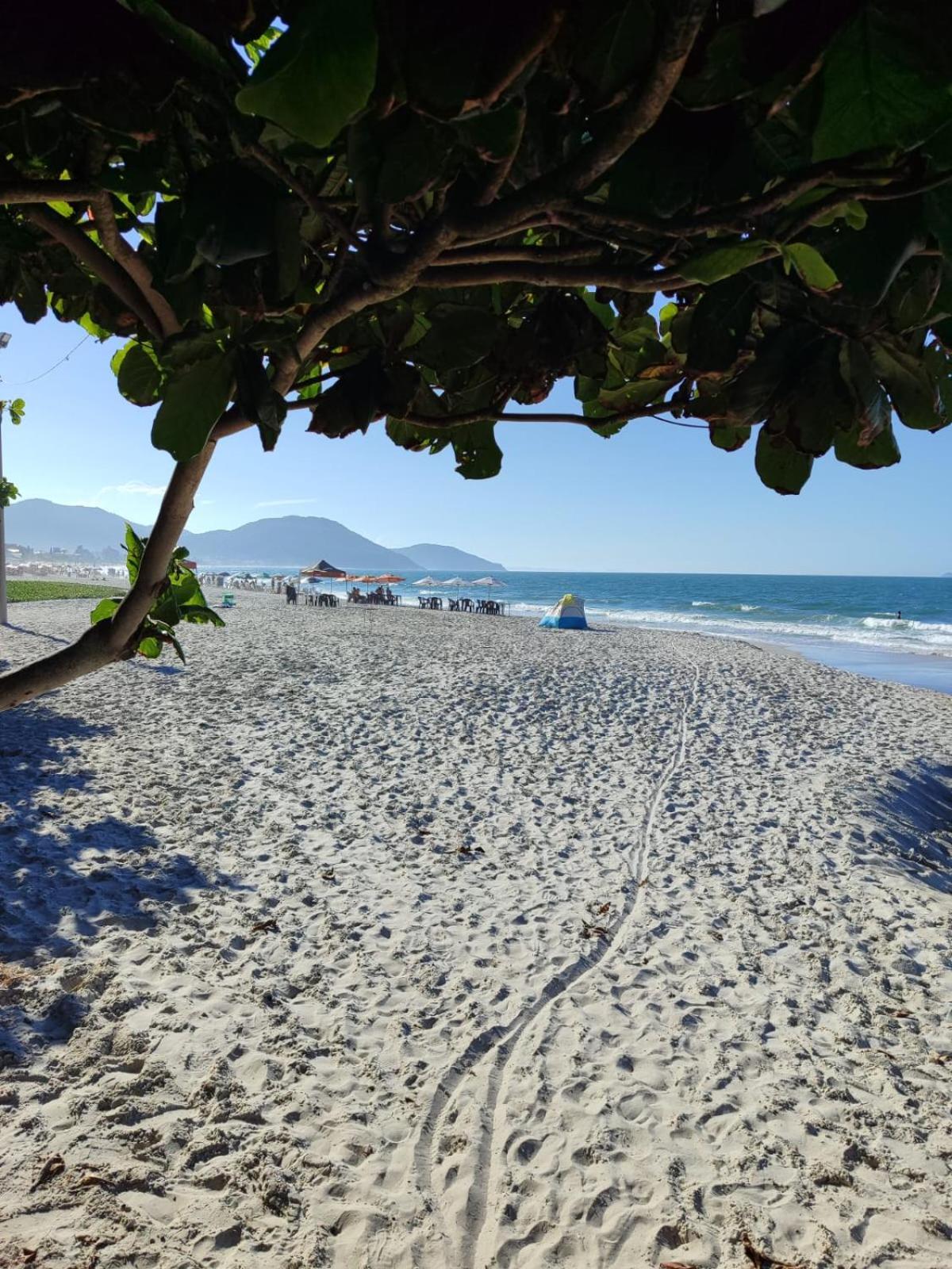 Apartamento De 2 Dormitorios Florianópolis Eksteriør billede